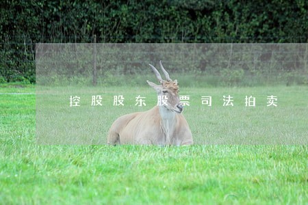控股股东股票司法拍卖