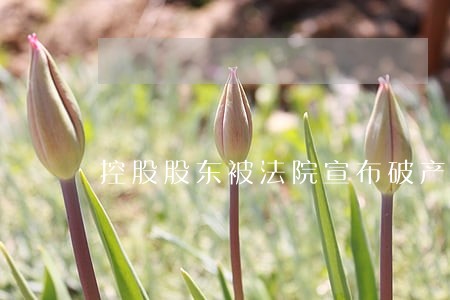 控股股东被法院宣布破产 控股股东被法院宣布破产