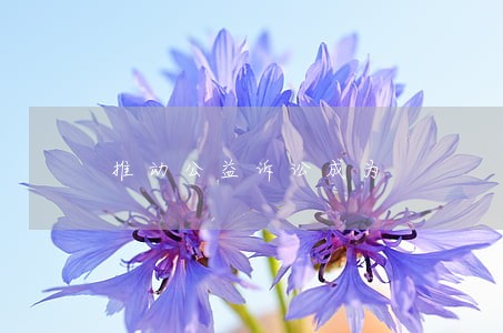推动公益诉讼成为 推动公益诉讼成为
