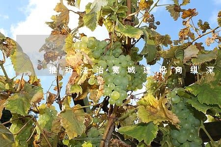推动法治宽城建设向纵深发展 推动法治宽城建设向纵深发展