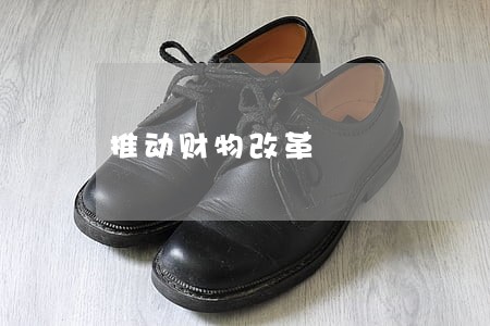 推动财物改革 推动财物改革