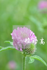 推动高效办案优质司法 推动高效办案优质司法