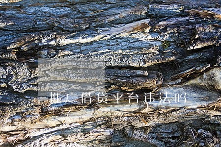 推广借贷平台违法吗 推广借贷平台违法吗