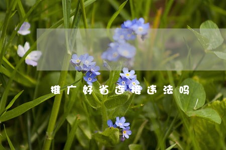 推广好省连接违法吗