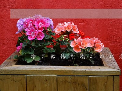 推广微信币圈二维码违法吗 推广微信币圈二维码违法吗