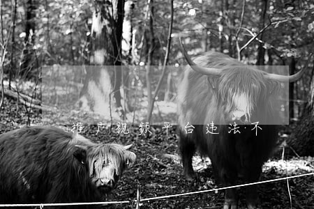 推广视频平台违法不 推广视频平台违法不