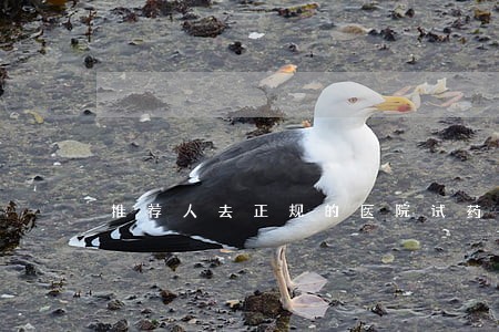 推荐人去正规的医院试药违法吗 推荐人去正规的医院试药违法吗