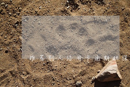 推荐别人信用卡逾期担保 推荐别人信用卡逾期担保