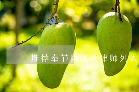 推荐奉节县优秀律师列表 推荐奉节县优秀律师列表