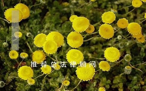 推荐总法律顾问