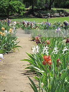推荐房产纠纷律师事务所权威排名 推荐房产纠纷律师事务所权威排名