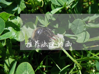 推荐法院的函 推荐法院的函