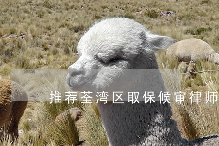 推荐荃湾区取保候审律师咨询 推荐荃湾区取保候审律师咨询