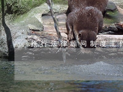 推行法律顾问制度工作自查报告 推行法律顾问制度工作自查报告