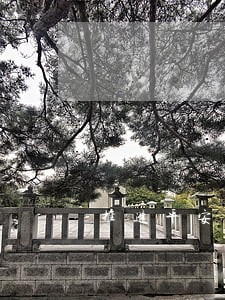 推进平安法治大理建设 推进平安法治大理建设