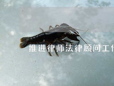 推进律师法律顾问工作的意见 推进律师法律顾问工作的意见