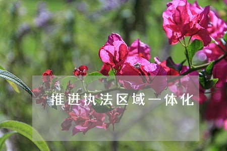推进执法区域一体化