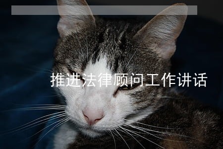 推进法律顾问工作讲话 推进法律顾问工作讲话