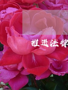 推进法律顾问考核的工作方案 推进法律顾问考核的工作方案