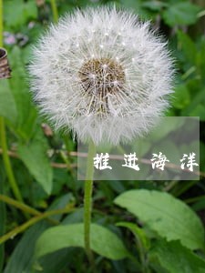 推进海洋管理法制化建设 推进海洋管理法制化建设