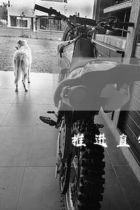 推进直销立法 推进直销立法