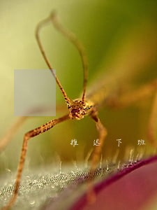 推迟下班违法吗 推迟下班违法吗