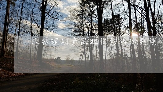 推销理财产品担保的诉讼判例 推销理财产品担保的诉讼判例