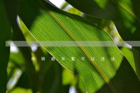 推销避孕套可以违法