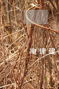 掩埋建渣违法吗 掩埋建渣违法吗