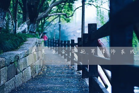措美县公司犯罪律师在线免费咨询