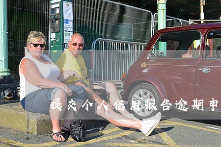 提交个人信用报告逾期申请 提交个人信用报告逾期申请