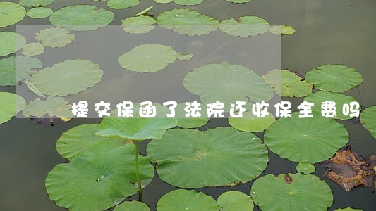 提交保函了法院还收保全费吗 提交保函了法院还收保全费吗
