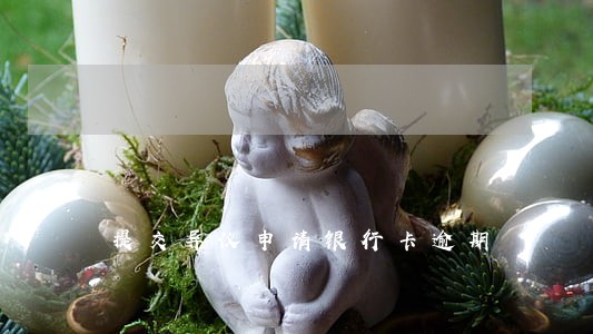 提交异议申请银行卡逾期 提交异议申请银行卡逾期