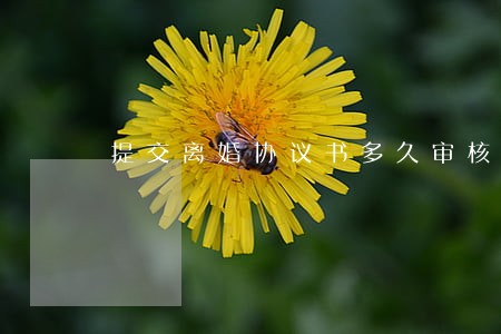 提交离婚协议书多久审核 提交离婚协议书多久审核