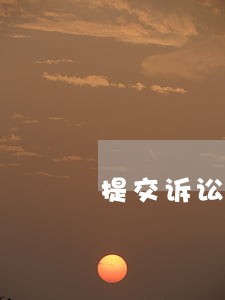 提交诉讼