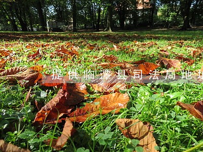 提供临潭县司法局地址 提供临潭县司法局地址