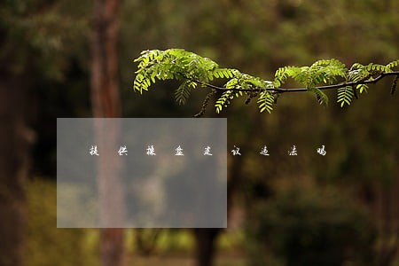 提供操盘建议违法吗