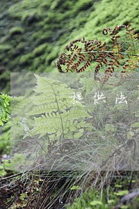 提供法律咨询怎么收费 提供法律咨询怎么收费