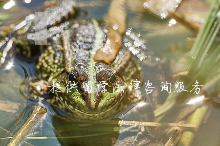 提供留学法律咨询服务 提供留学法律咨询服务