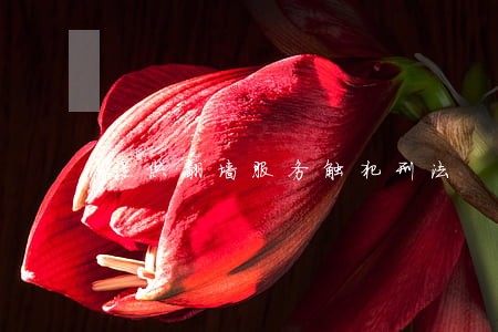 提供翻墙服务触犯刑法 提供翻墙服务触犯刑法