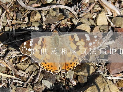 提供蒸湘区司法局地址 提供蒸湘区司法局地址