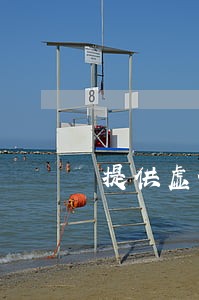 提供虚假文件证明罪司法解释