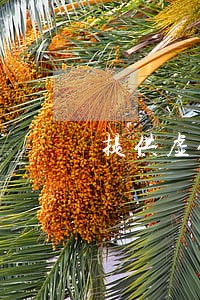 提供虚假证明文件罪律师咨询 提供虚假证明文件罪律师咨询