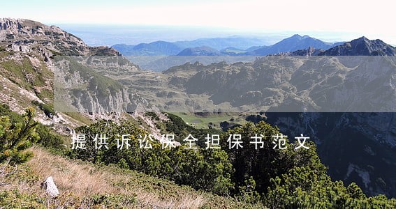 提供诉讼保全担保书范文 提供诉讼保全担保书范文
