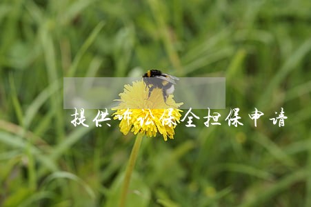 提供诉讼保全担保申请 提供诉讼保全担保申请