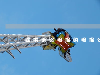 提供诉讼担保的担保公司 提供诉讼担保的担保公司