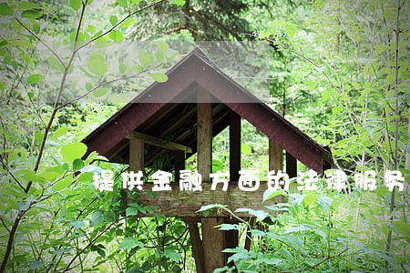 提供金融方面的法律服务 提供金融方面的法律服务