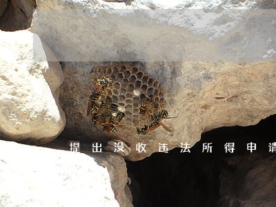 提出没收违法所得申请 提出没收违法所得申请