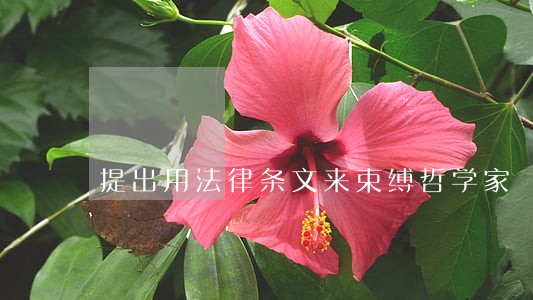 提出用法律条文来束缚哲学家 提出用法律条文来束缚哲学家