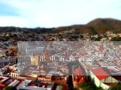 提出申诉和诉讼 提出申诉和诉讼